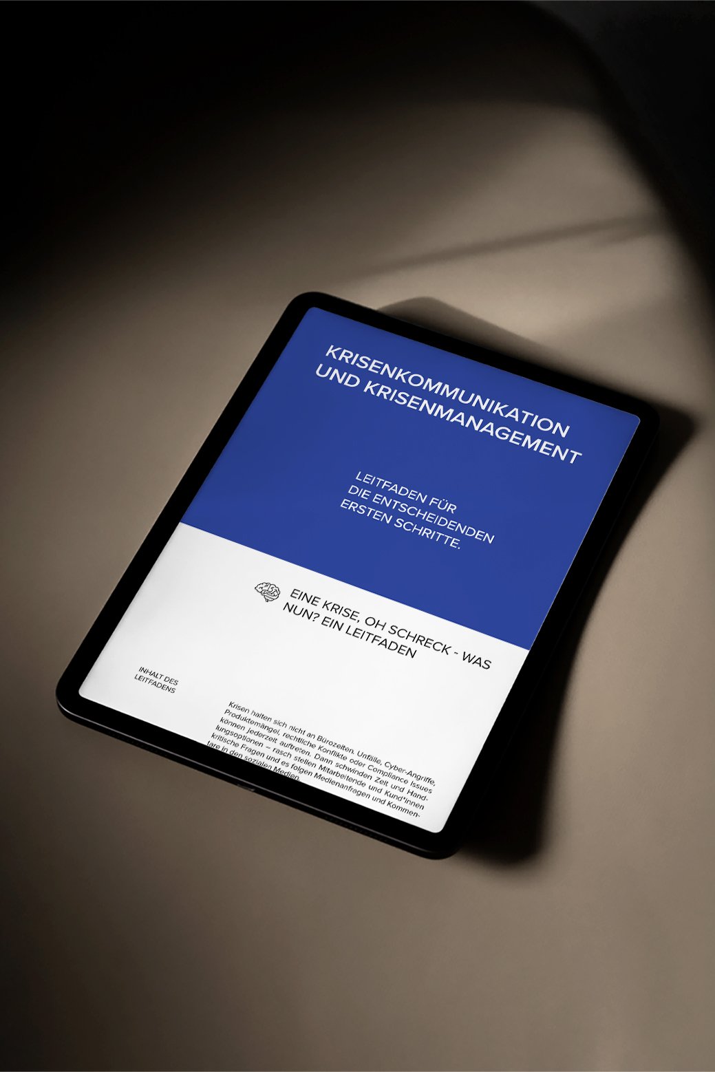 Landingpage_Krisenkommunikation_733x1100_2